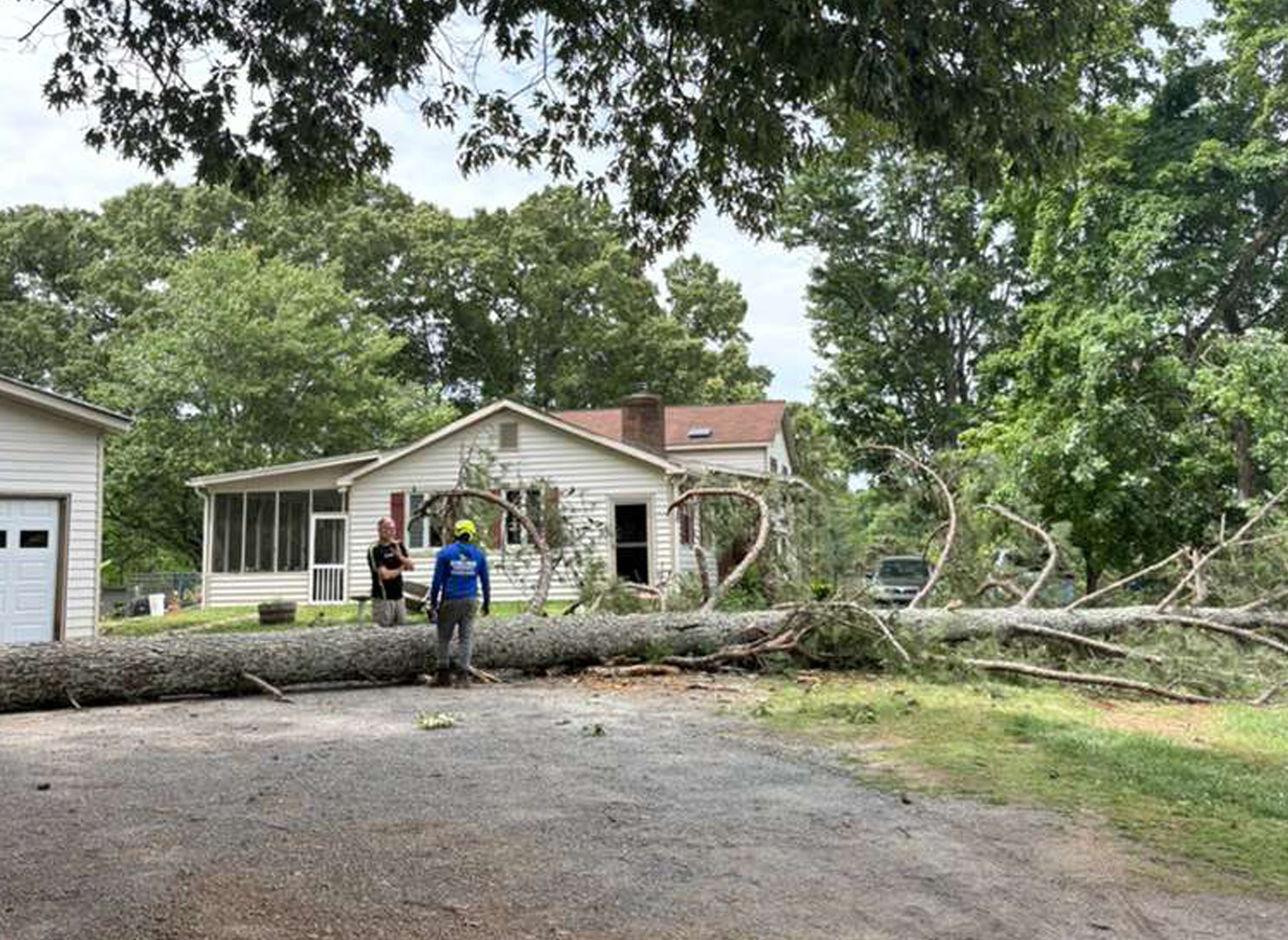 Fallen tree across a front yard in metro Atlanta