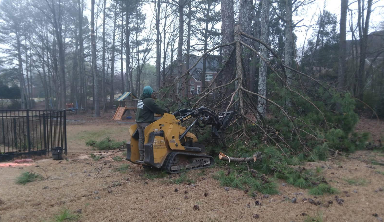 Skid steer clearing brush on a wooded lot